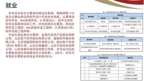 山东电子职业技术学院计算机与软件工程系 计算机软件技术服务专业简介